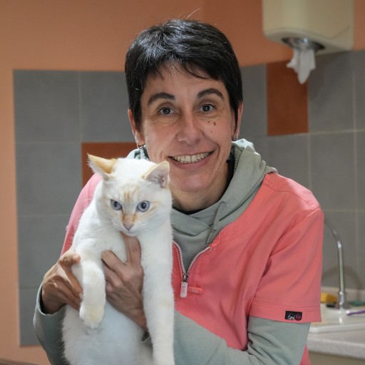Fabienne Langlet