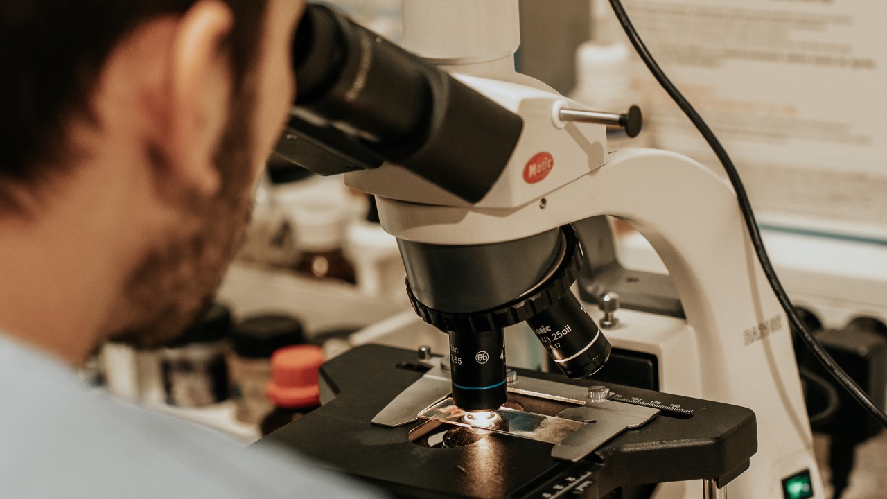 Laboratoire